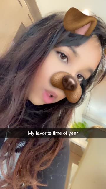Playful Face Filters Videos
