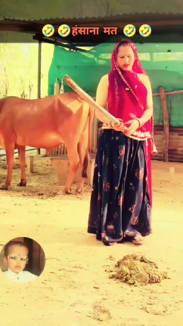 Cow Dung Prank Videos