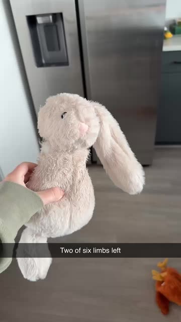 Stuffed Animal Rabbit Videos