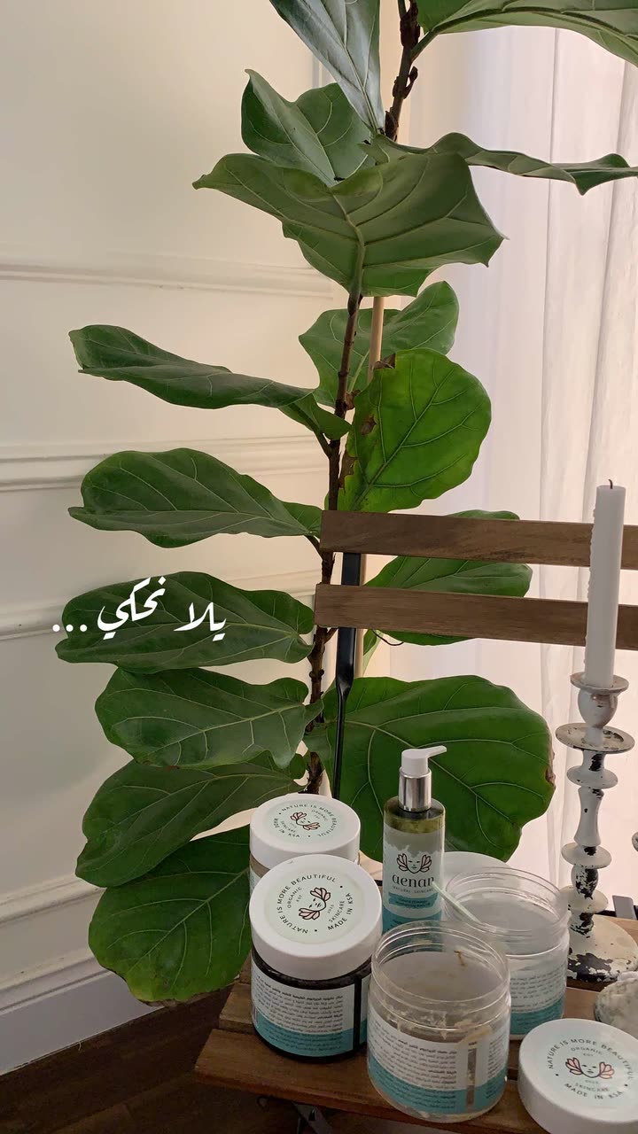 محتوى سناب شات لـ Shmowkh 🍃🎼🐺