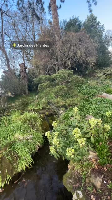 Jardin des Plantes de Rouen - Snap by Snapchat User