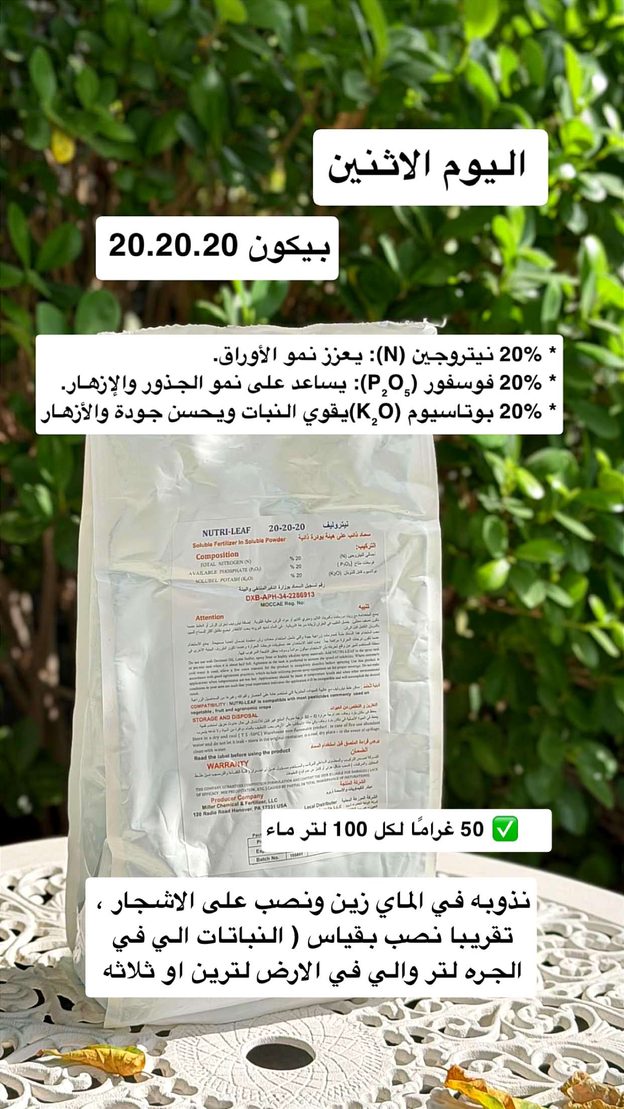 محتوى سناب شات لـ عفرا السويدي 🦋