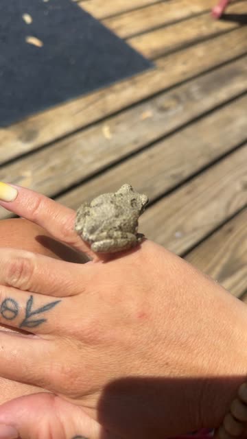 Geologist Engagement Rings Videos