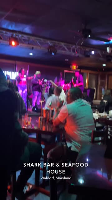 Shark Bar And Seafood House