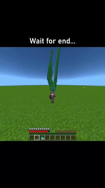 MinecraftFreak
