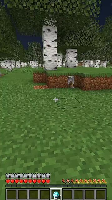 MinecraftFreak