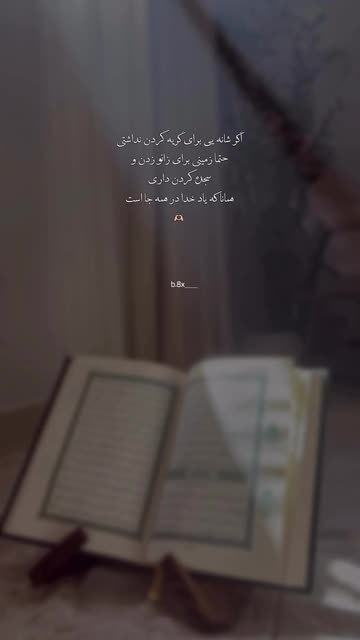 S.mohibi