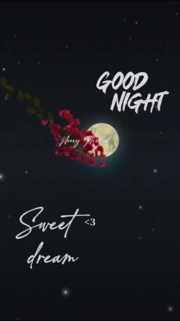 Good Night Sweet Dream Videos