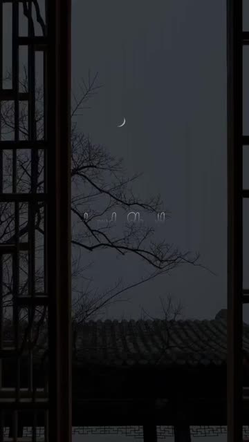 ∂нιмαη 🧿🎬