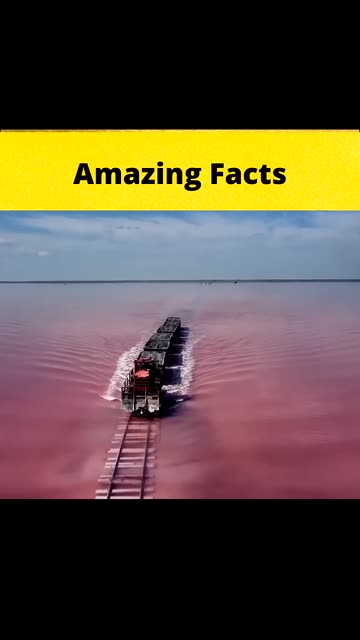 Bizarre Facts Videos