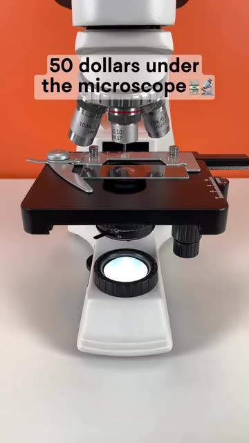 Micro_universe