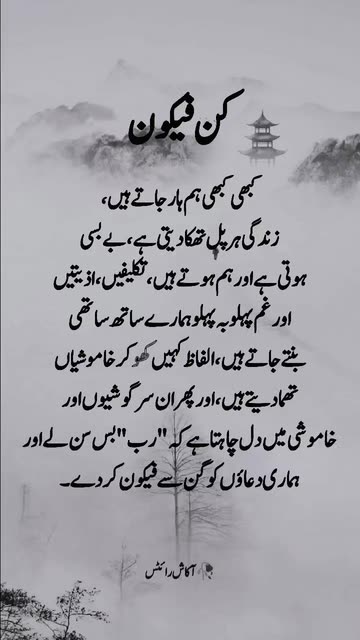 Mir Akash
