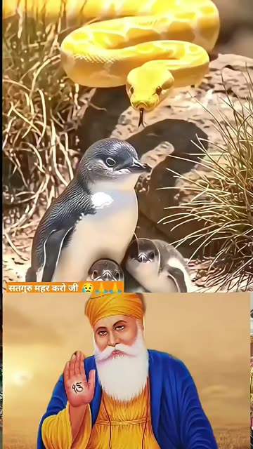 Manu🇦🇺