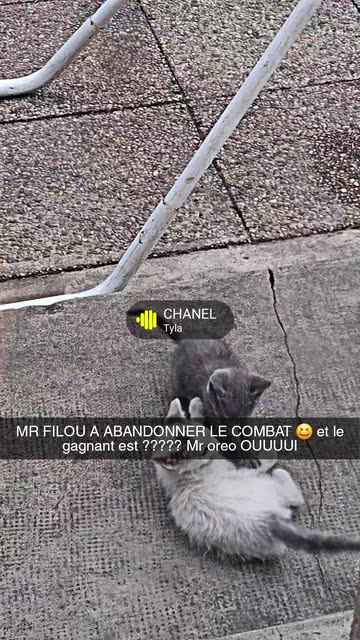 lescreas2ley