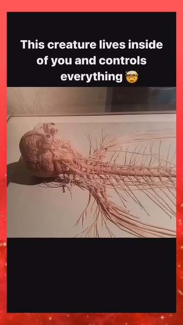 Medicationn 3d