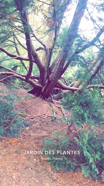 Jardin des Plantes de Rouen - Snap by Snapchat User