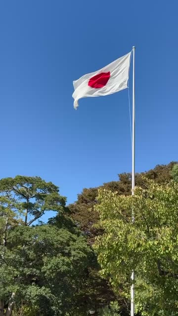 Japan Flag Redesign Videos