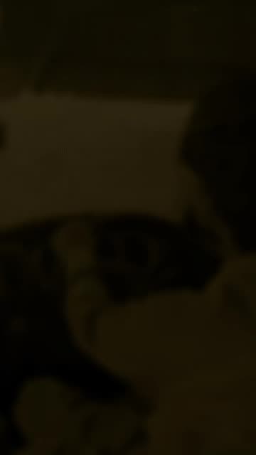 𝐴𝑏𝑟𝑎𝑢𝑓𝑟𝑖𝑛𝑑