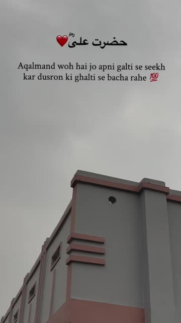Rizwan 313