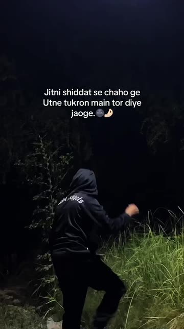 Haseeb Shaikh