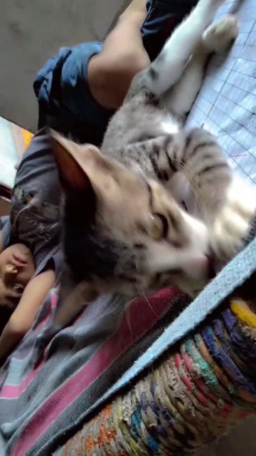 tannu_628