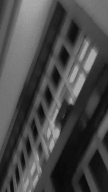tannu_628