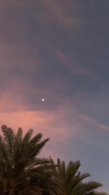 i9lhn