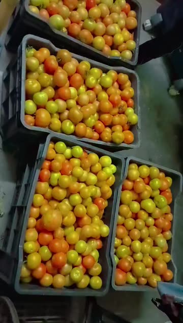 B2 RAJ
