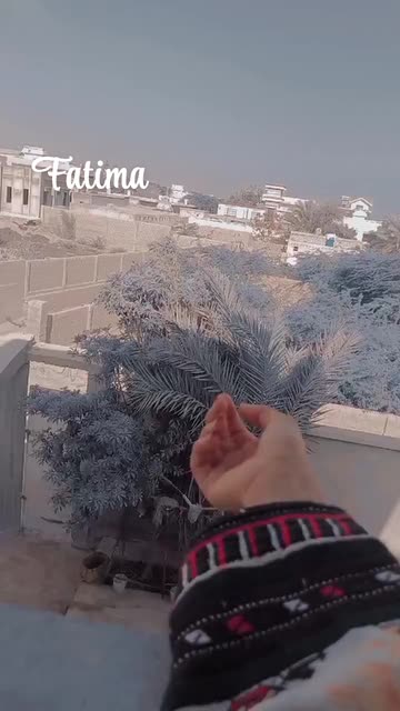 Fatima Baloch Videos