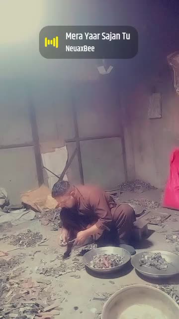 Danish Mehar