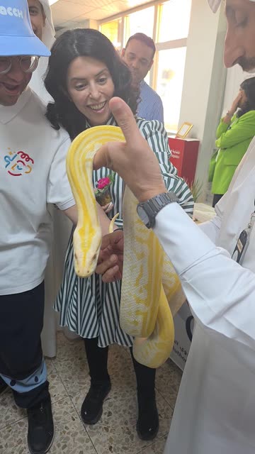 dr.bb
