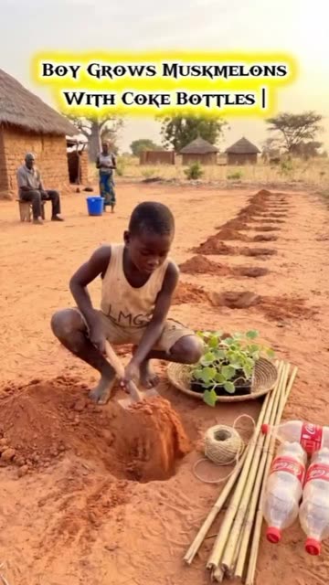 Boy Grows Muskmelons With Coke Bottles | #usa