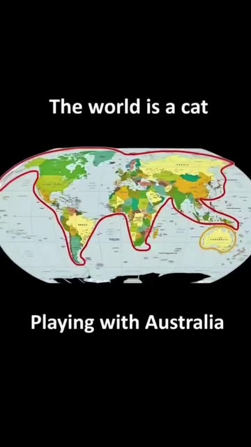 Cat Shaped World Map Videos