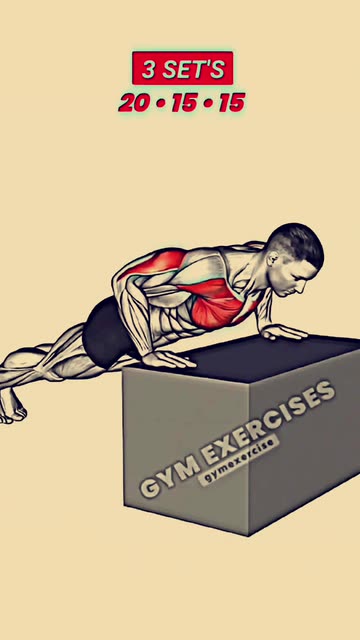 Muscle Animation Videos
