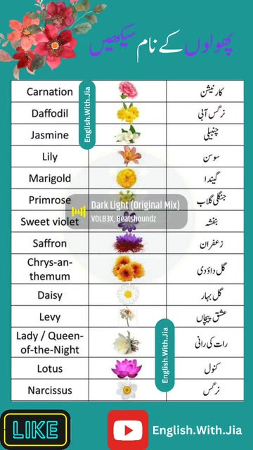 Botany Basics Videos