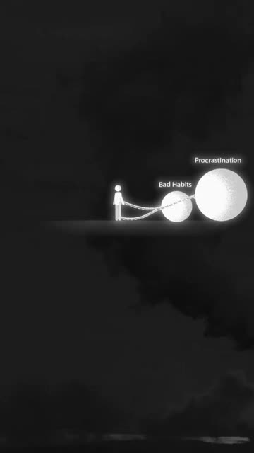 Alex Animation Videos