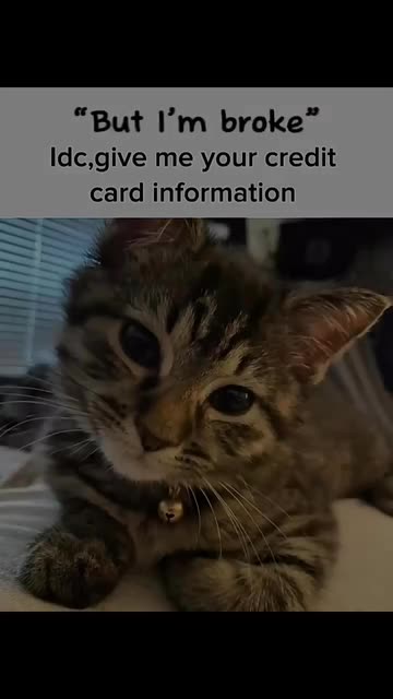 Credit Card Meme Videos