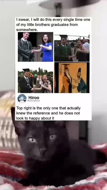 Spirited Away Meme Videos