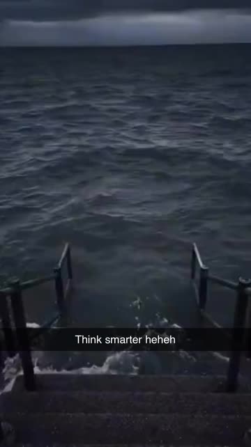 Ocean Memes