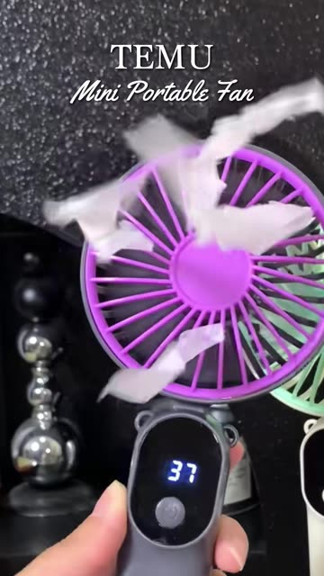 Fan Reveal on Snapchat: Trending Videos & More