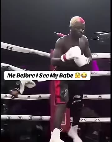 Boxing Memes Videos