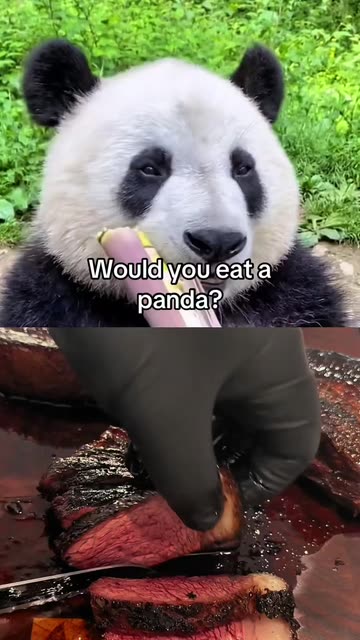 Meat = Immoral