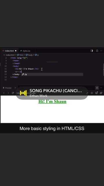 Shaun Learns To Code