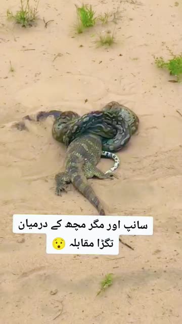 Snapchatter