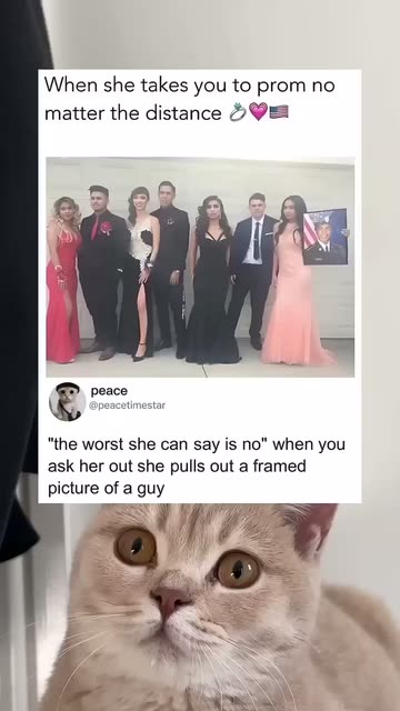 funny prom dress meme Prom jokes