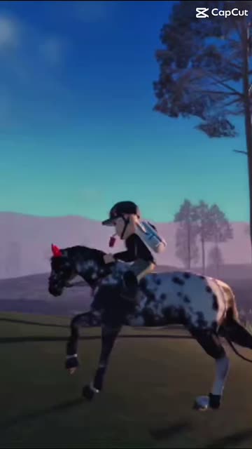 Horseback Riding Simulation Videos