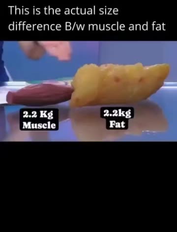 Difference Between Muscle And Fat Videos