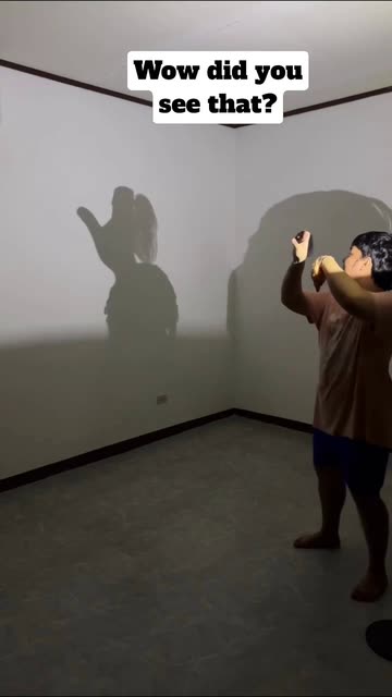 Shadow Puppet Show Videos