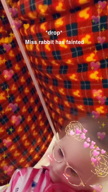 Miss Rabbit Has Fainted Videos