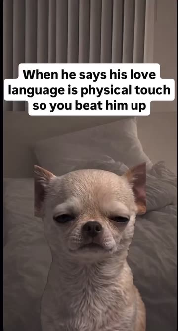 favouribiok
